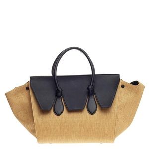 Celine Tan and Black Tote Bag